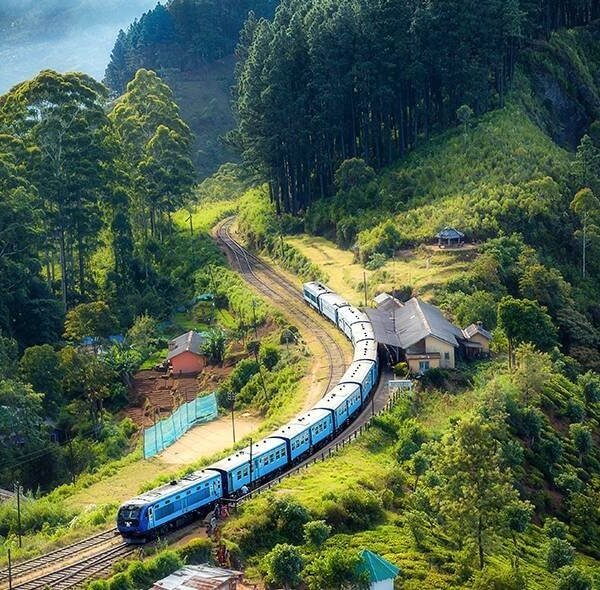 yala safari srilanka