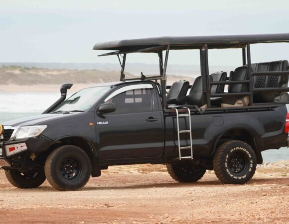 Your Gateway to Yala's Wilderness