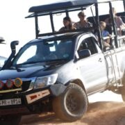 yala safari srilanka