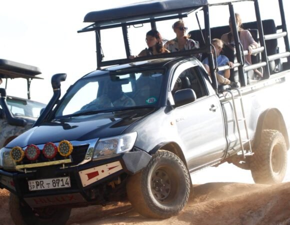 15 Yala Safari Tips From Our Expert Guides (2026 Edition)