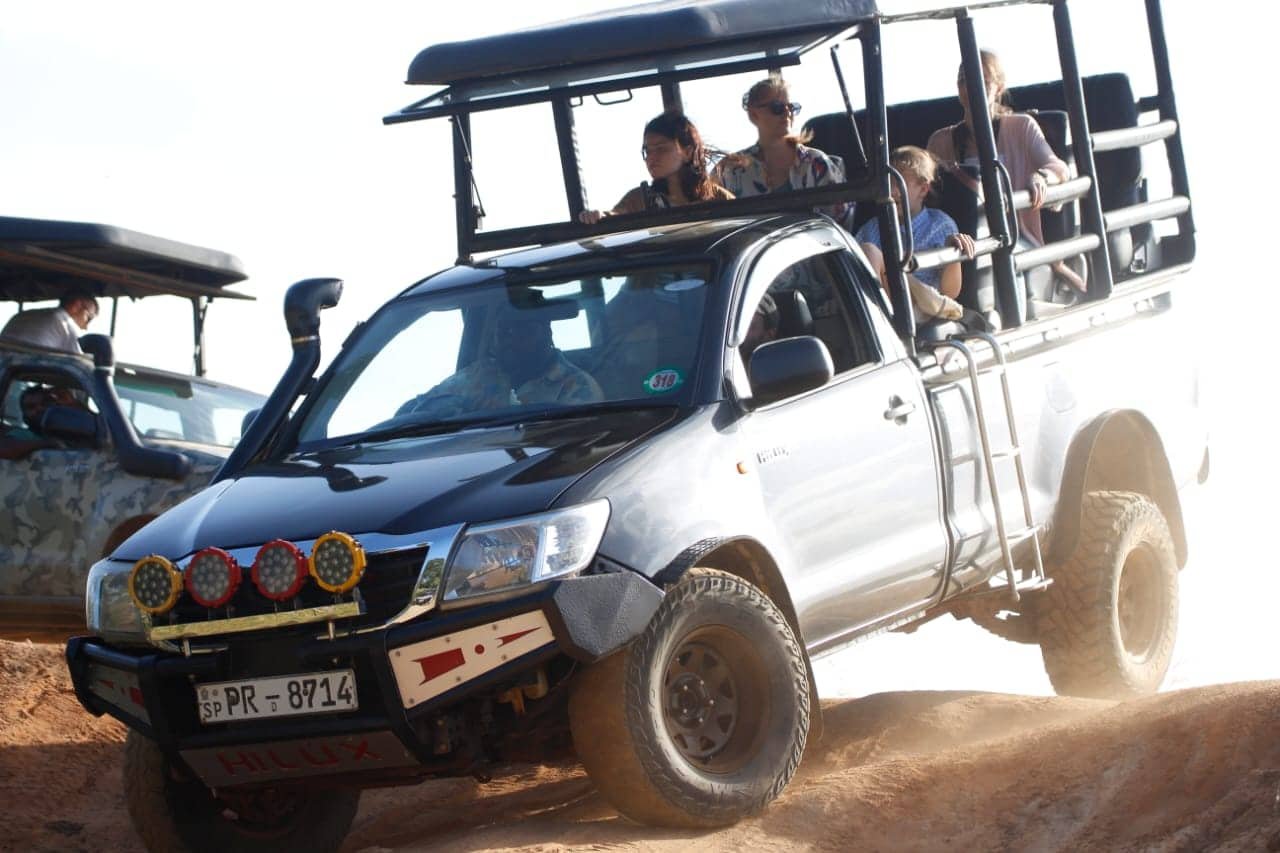 yala safari srilanka